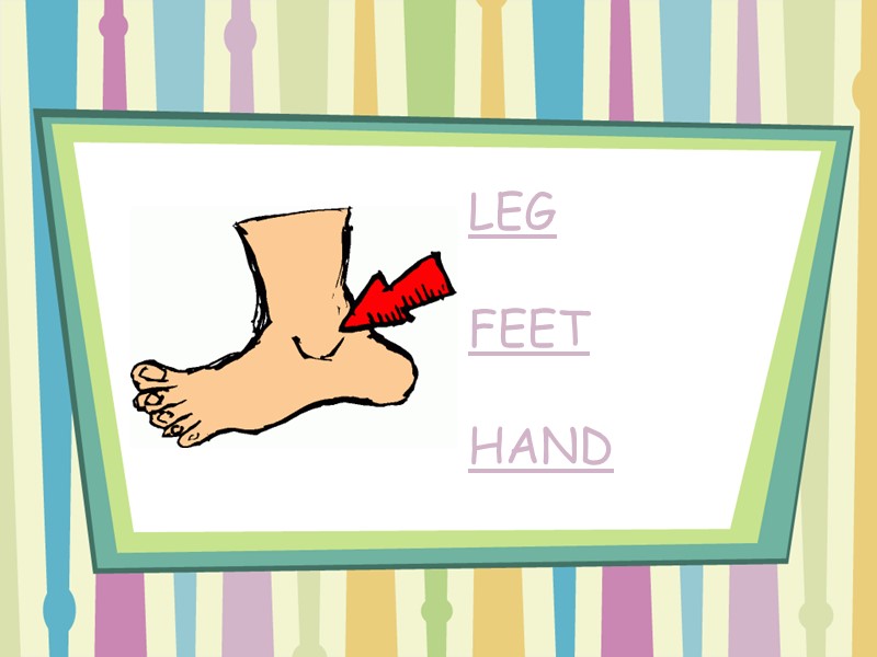 LEG  FEET  HAND